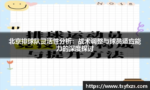 北京排球队灵活性分析：战术调整与球员适应能力的深度探讨