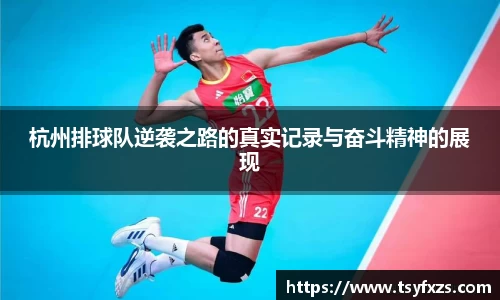 杭州排球队逆袭之路的真实记录与奋斗精神的展现