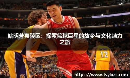 米乐YY易游