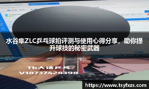 易游体育