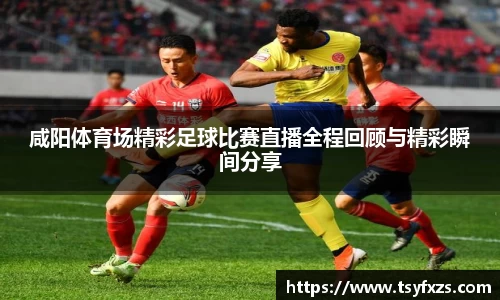 米乐YY易游