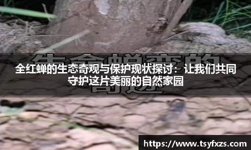 米乐YY易游